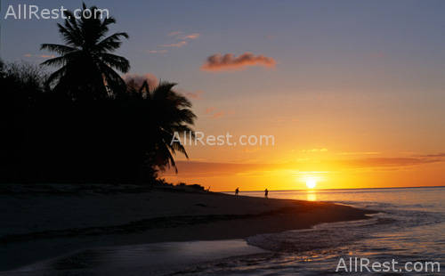 Alphonse Island Resort Deluxe 10
